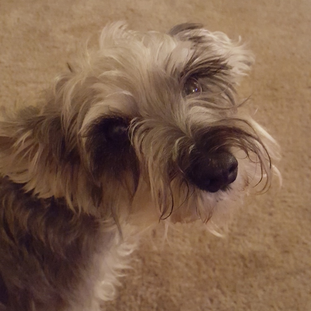 Meet your Posher, Christina